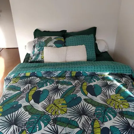 Parisian Loft 70m2 דירה *